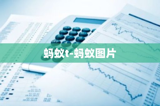 蚂蚁t-蚂蚁图片
