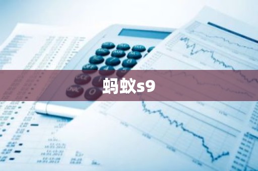 蚂蚁s9
