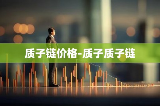 质子链价格-质子质子链