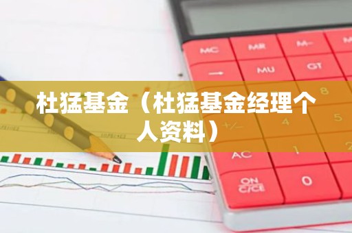 杜猛基金（杜猛基金经理个人资料）