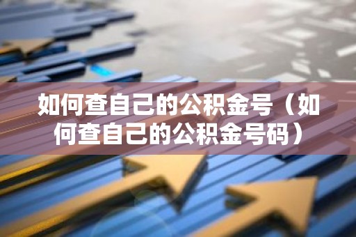 如何查自己的公积金号（如何查自己的公积金号码）