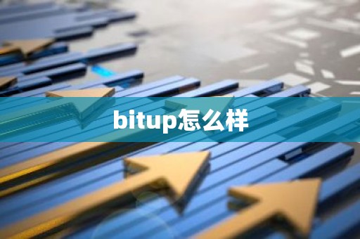bitup怎么样