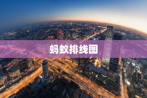 蚂蚁排线图