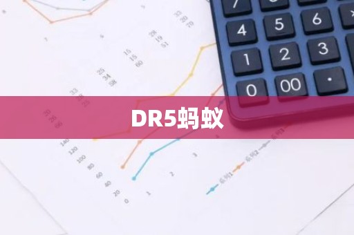 DR5蚂蚁