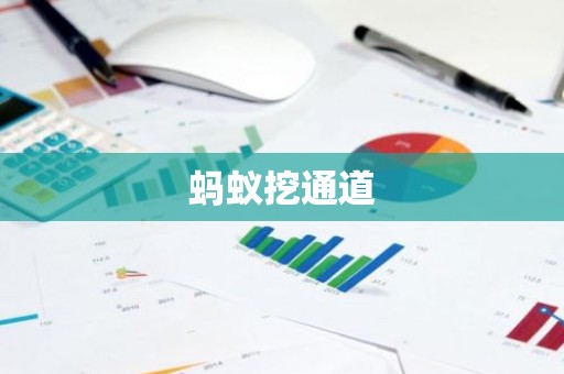蚂蚁挖通道