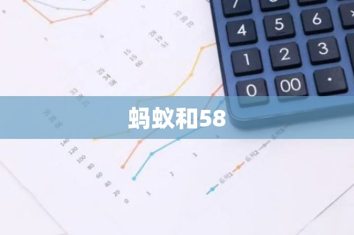 蚂蚁和58