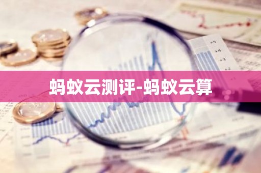 蚂蚁云测评-蚂蚁云算