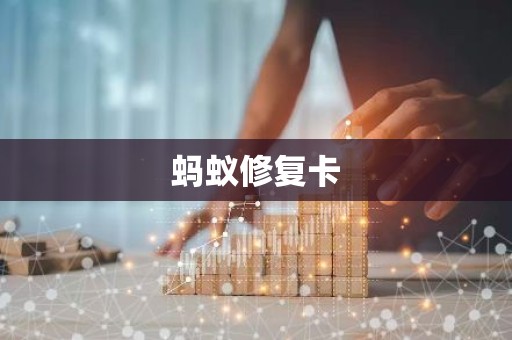 蚂蚁修复卡