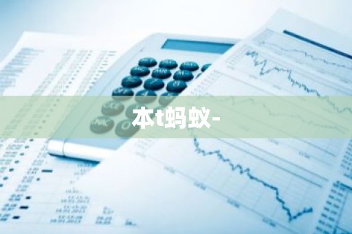本t蚂蚁-