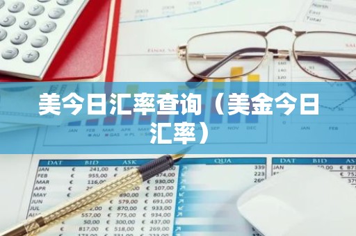 美今日汇率查询（美金今日汇率）