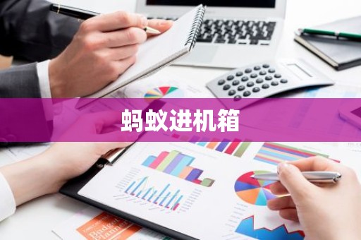 蚂蚁进机箱