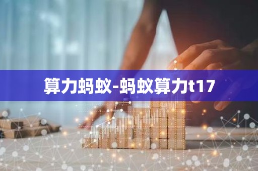 算力蚂蚁-蚂蚁算力t17