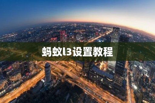 蚂蚁l3设置教程
