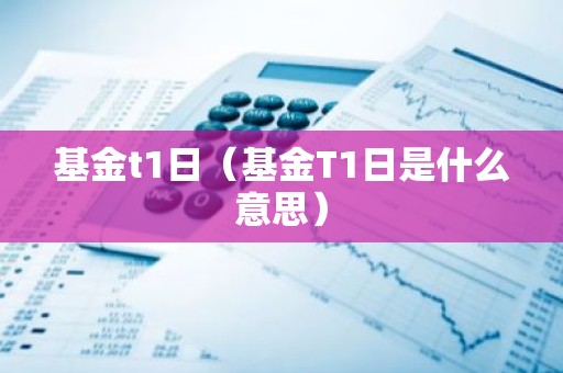 基金t1日（基金T1日是什么意思）