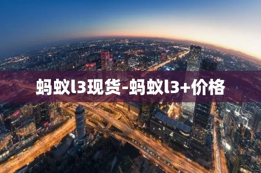 蚂蚁l3现货-蚂蚁l3+价格