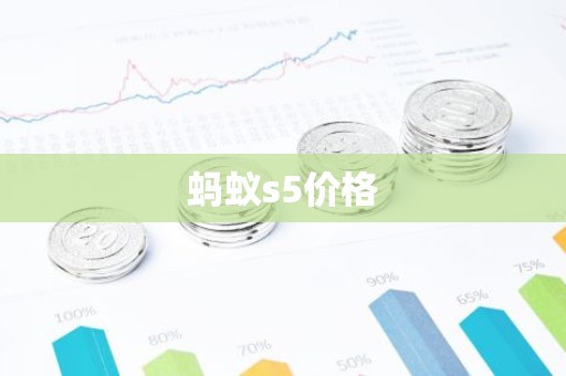 蚂蚁s5价格