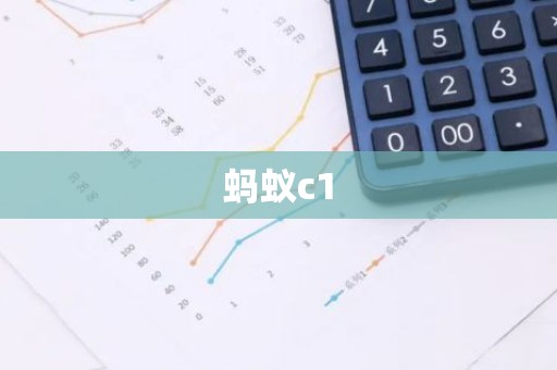 蚂蚁c1
