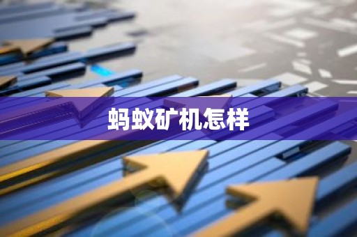蚂蚁矿机怎样
