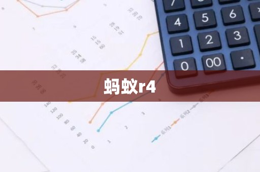蚂蚁r4