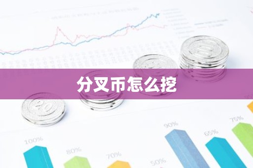 分叉币怎么挖