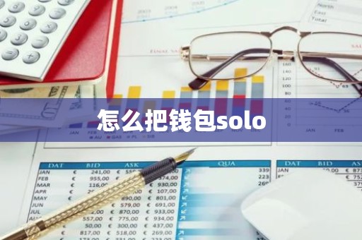 怎么把钱包solo