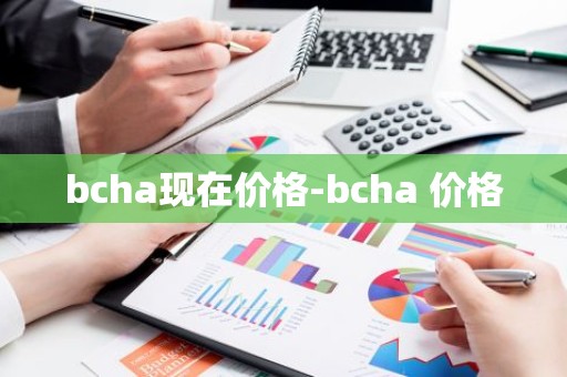 bcha现在价格-bcha 价格