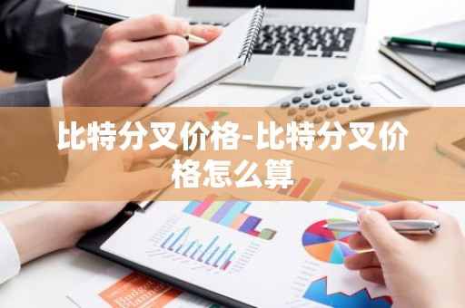 比特分叉价格-比特分叉价格怎么算