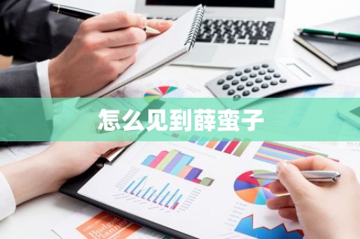 怎么见到薛蛮子