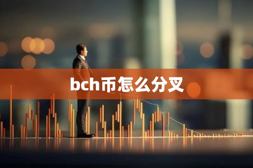bch币怎么分叉