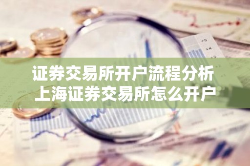证券交易所开户流程分析 上海证券交易所怎么开户