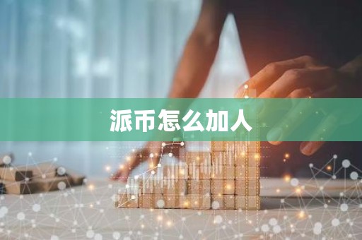 派币怎么加人