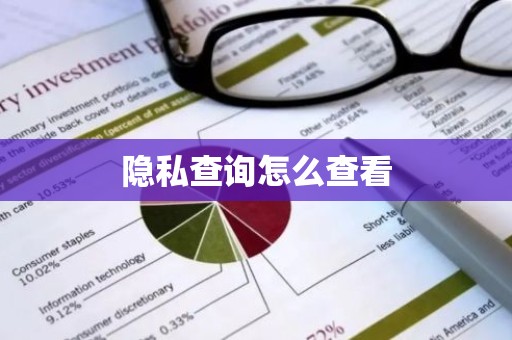 隐私查询怎么查看