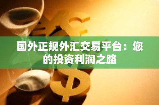 国外正规外汇交易平台：您的投资利润之路