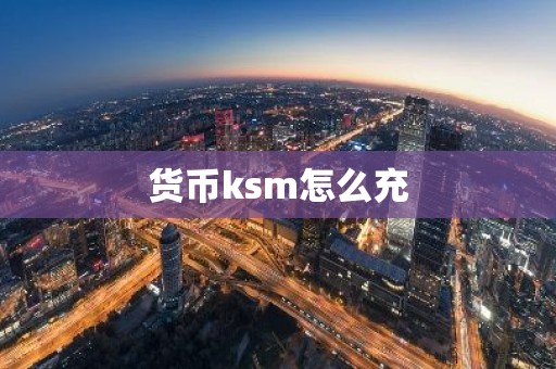 货币ksm怎么充