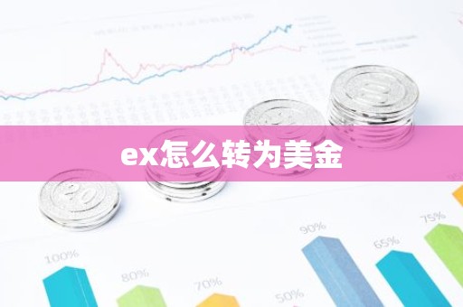 ex怎么转为美金