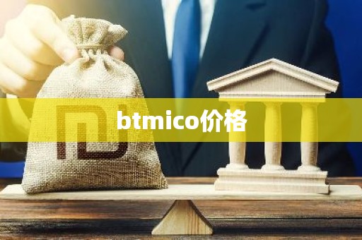 btmico价格