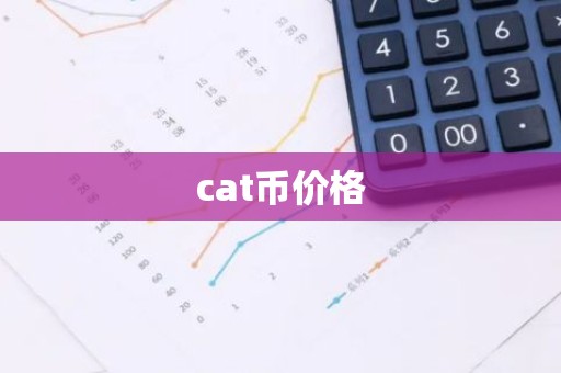 cat币价格