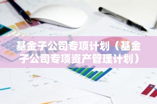 基金子公司专项计划（基金子公司专项资产管理计划）