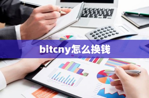 bitcny怎么换钱