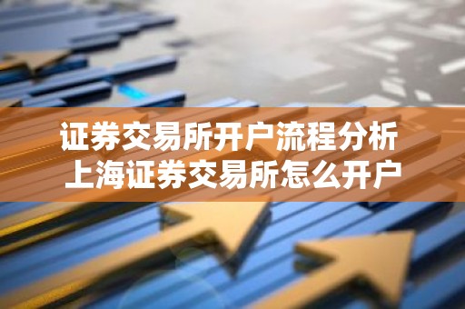 证券交易所开户流程分析 上海证券交易所怎么开户