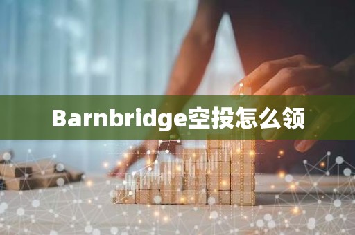 Barnbridge空投怎么领