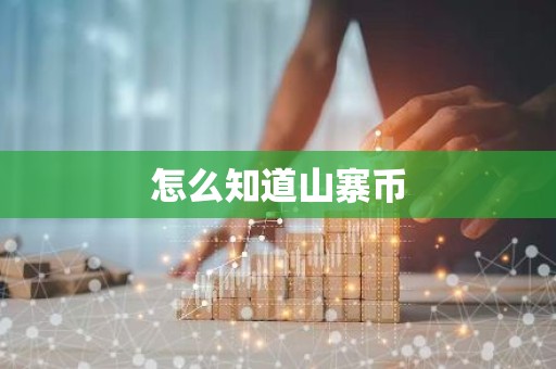 怎么知道山寨币