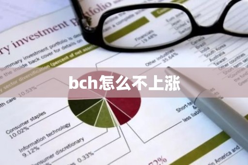 bch怎么不上涨