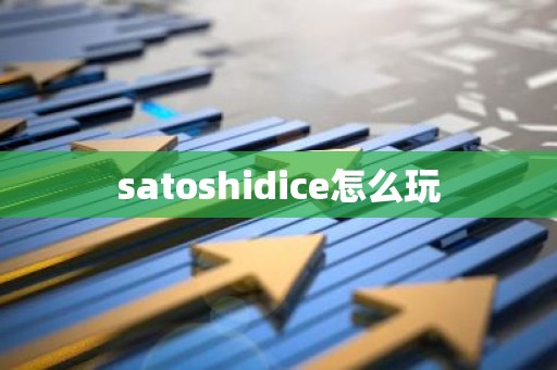 satoshidice怎么玩