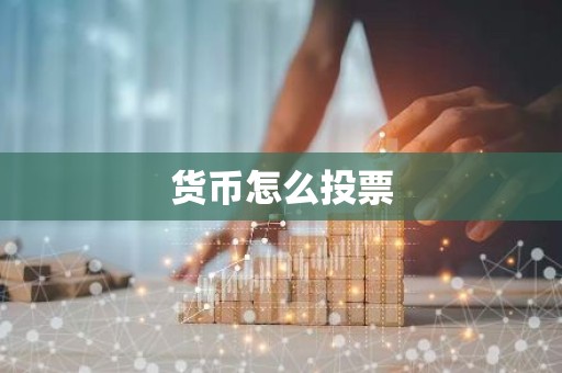 货币怎么投票