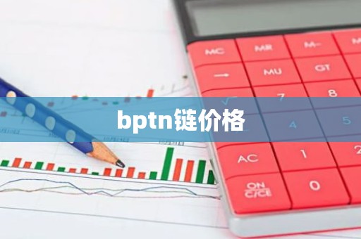 bptn链价格