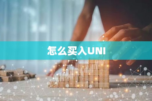 怎么买入UNI