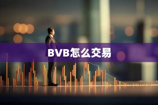 BVB怎么交易