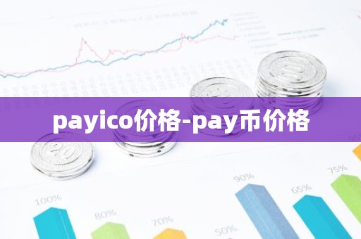 payico价格-pay币价格