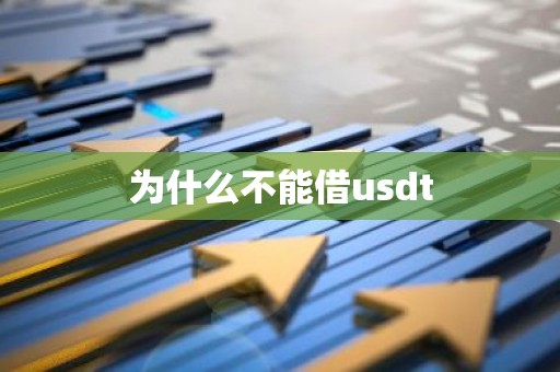 为什么不能借usdt